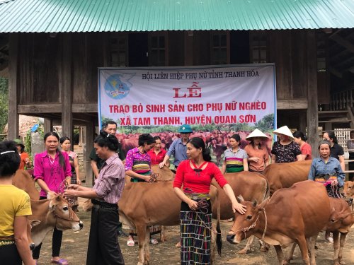 Lễ trao bò sinh sản cho phụ nữ nghèo xã Tam Thanh, huyện Quan Sơn.jpeg