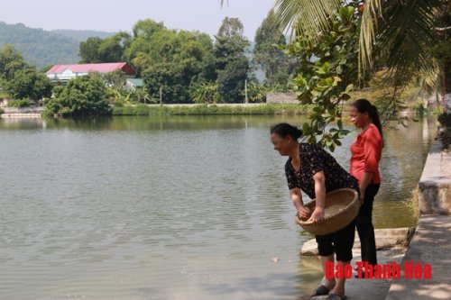 Chị Lê Thị Phương, Chủ tịch Hội PN xã Hà Thái, huyện Hà Trung (phía sau) đến thăm và khích lệ hội viên tích cực sản xuất, phát triển kinh tế hộ gia đình..jpg