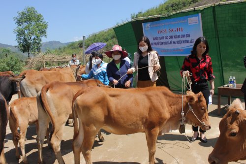 35. Thực hiện mục tiêu kép.jpg