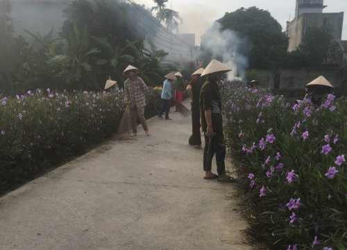 Dọn vệ sinh và trồng hoa ven đường đã trở thành phong trào sâu rộng của phụ nữ xã Nga Thủy., Nga Sơn.jpg